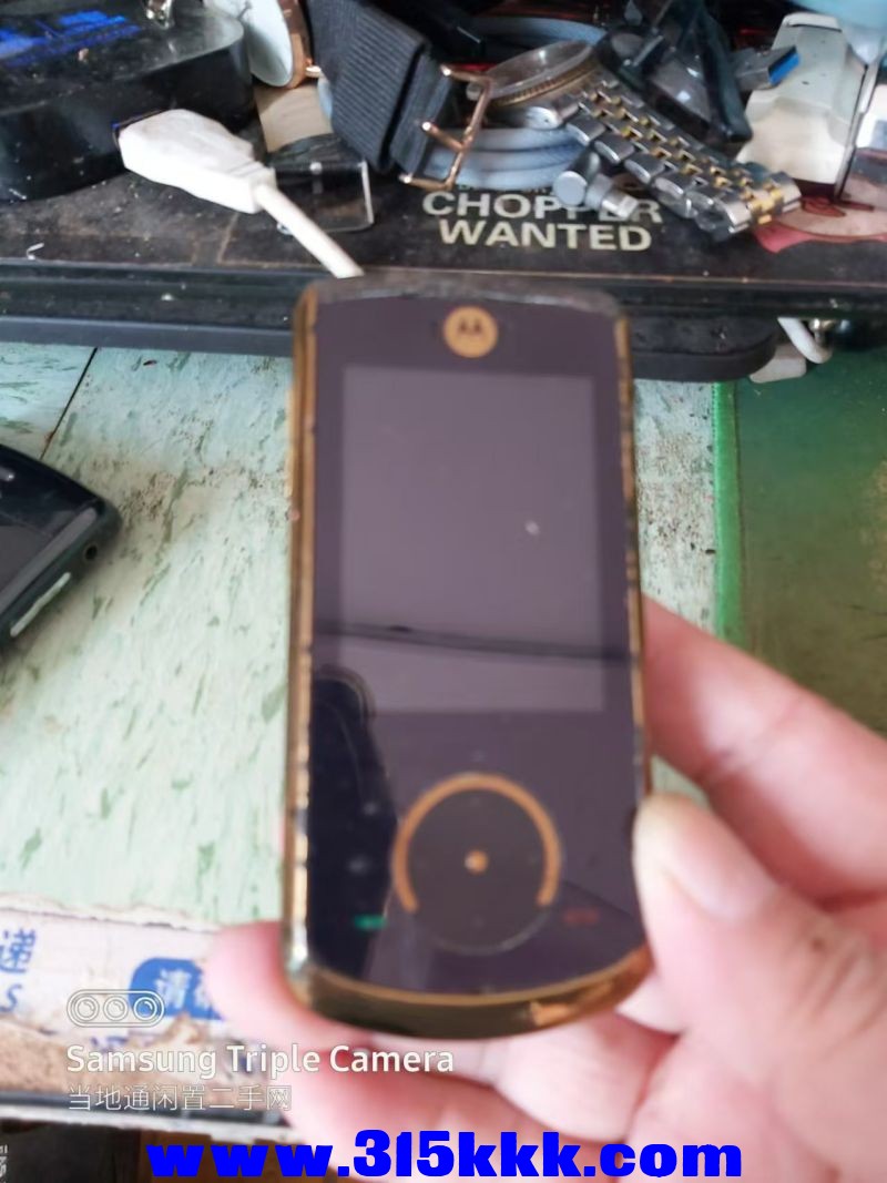 微信图片_202408080925553.jpg