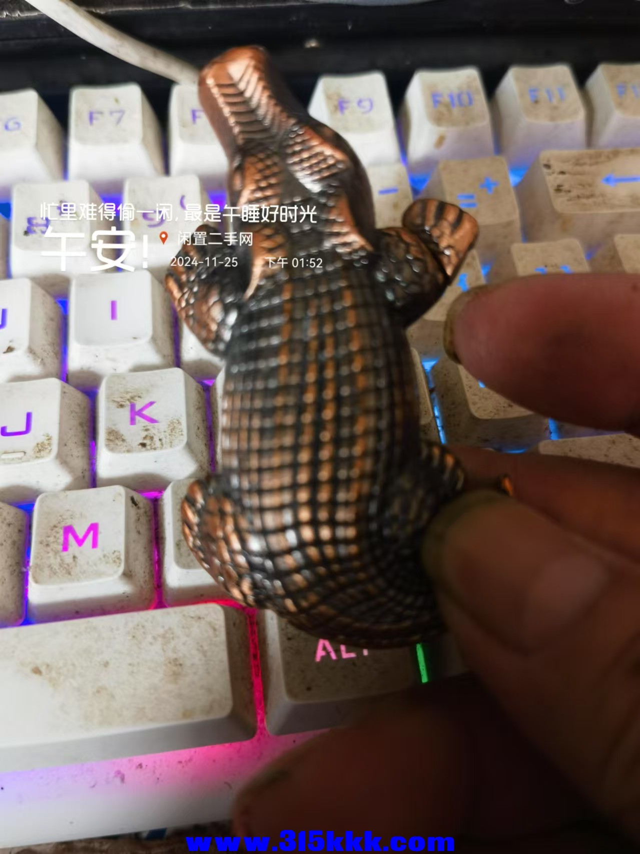 微信图片_20241125135624.jpg