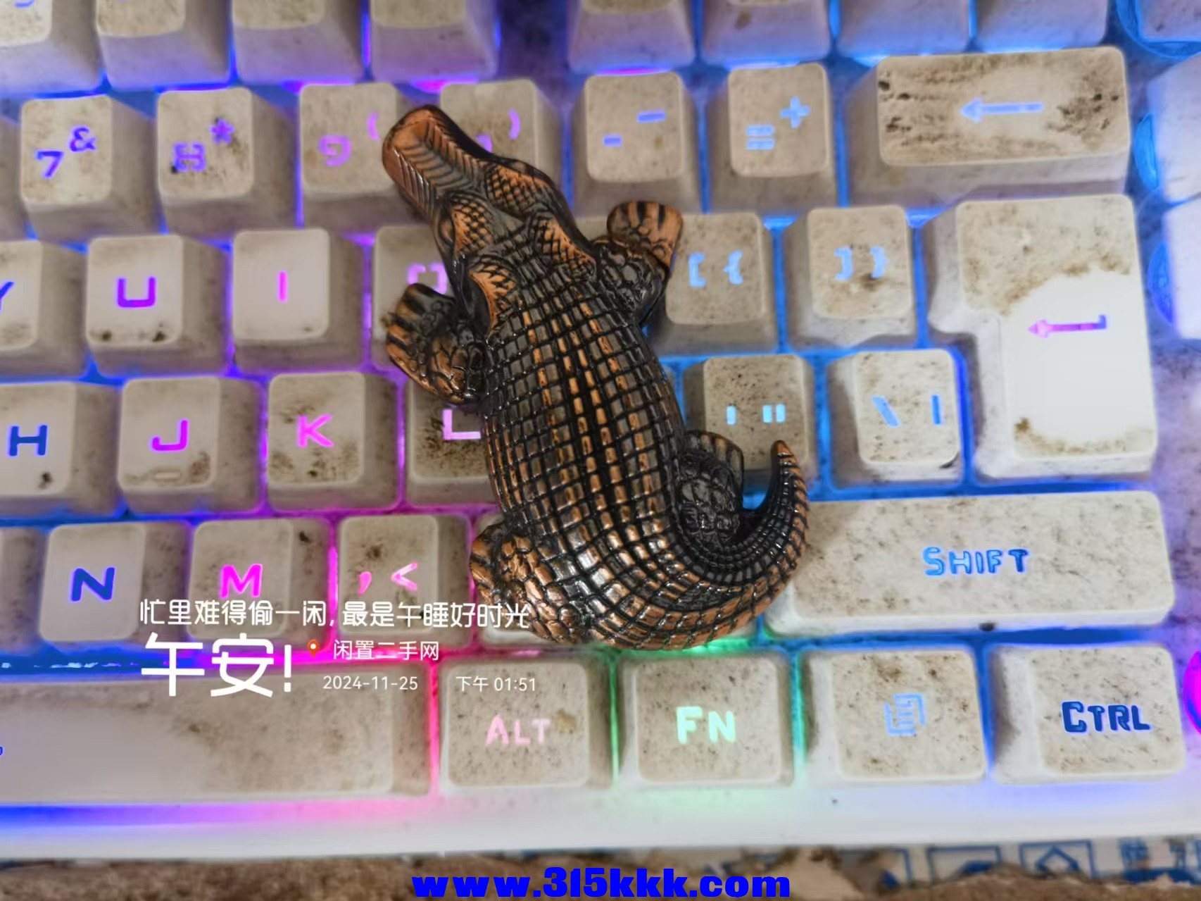 微信图片_20241125135625.jpg