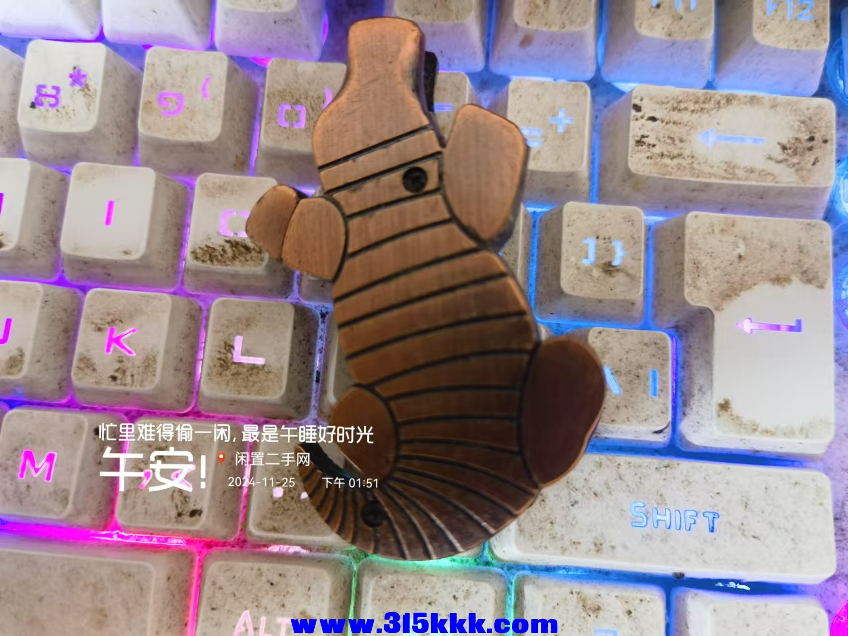 微信图片_202411251356241.jpg
