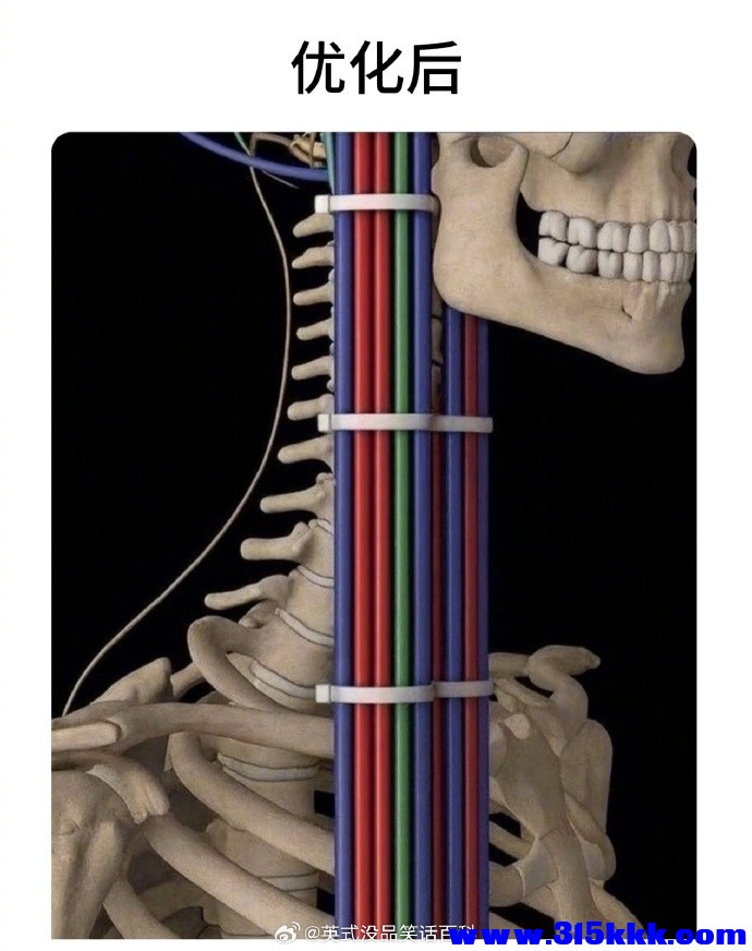 46721e7f.jpg