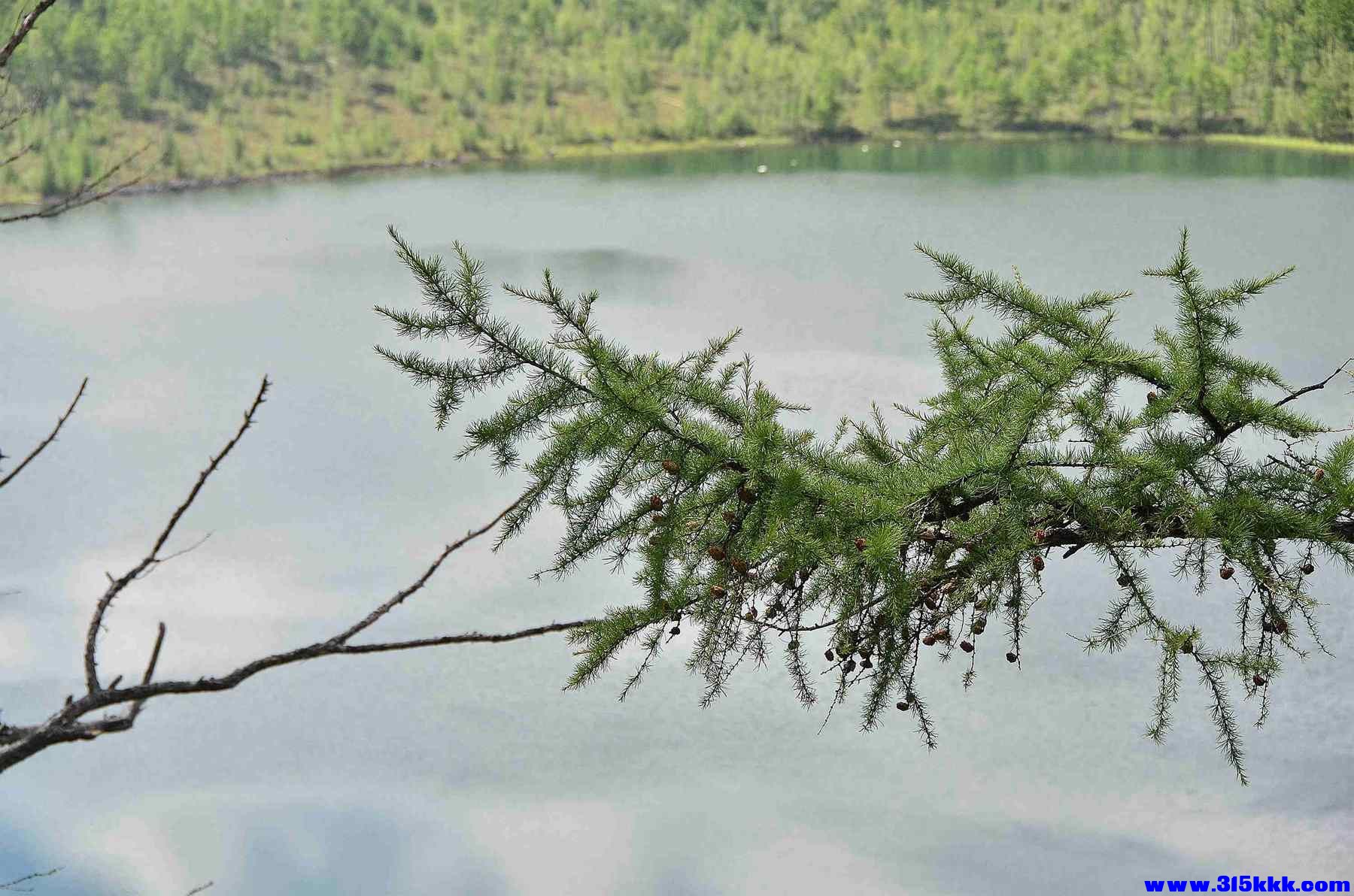 阿尔山天池@  010.jpg