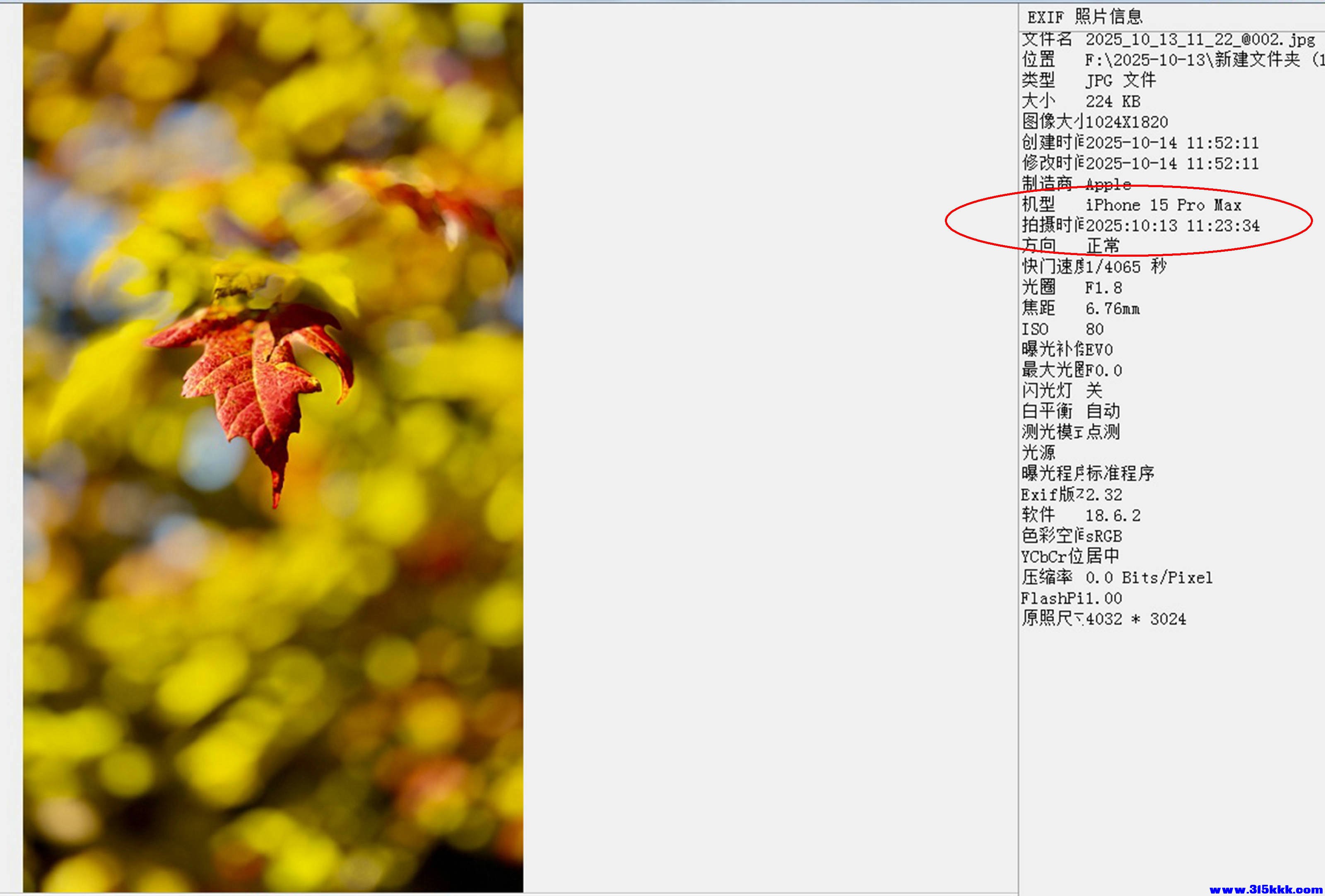 无标题.jpg