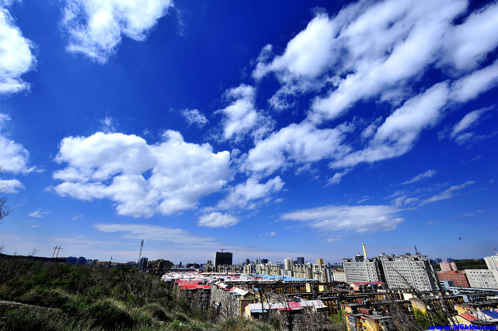 _DSC6291_副本_副本.jpg