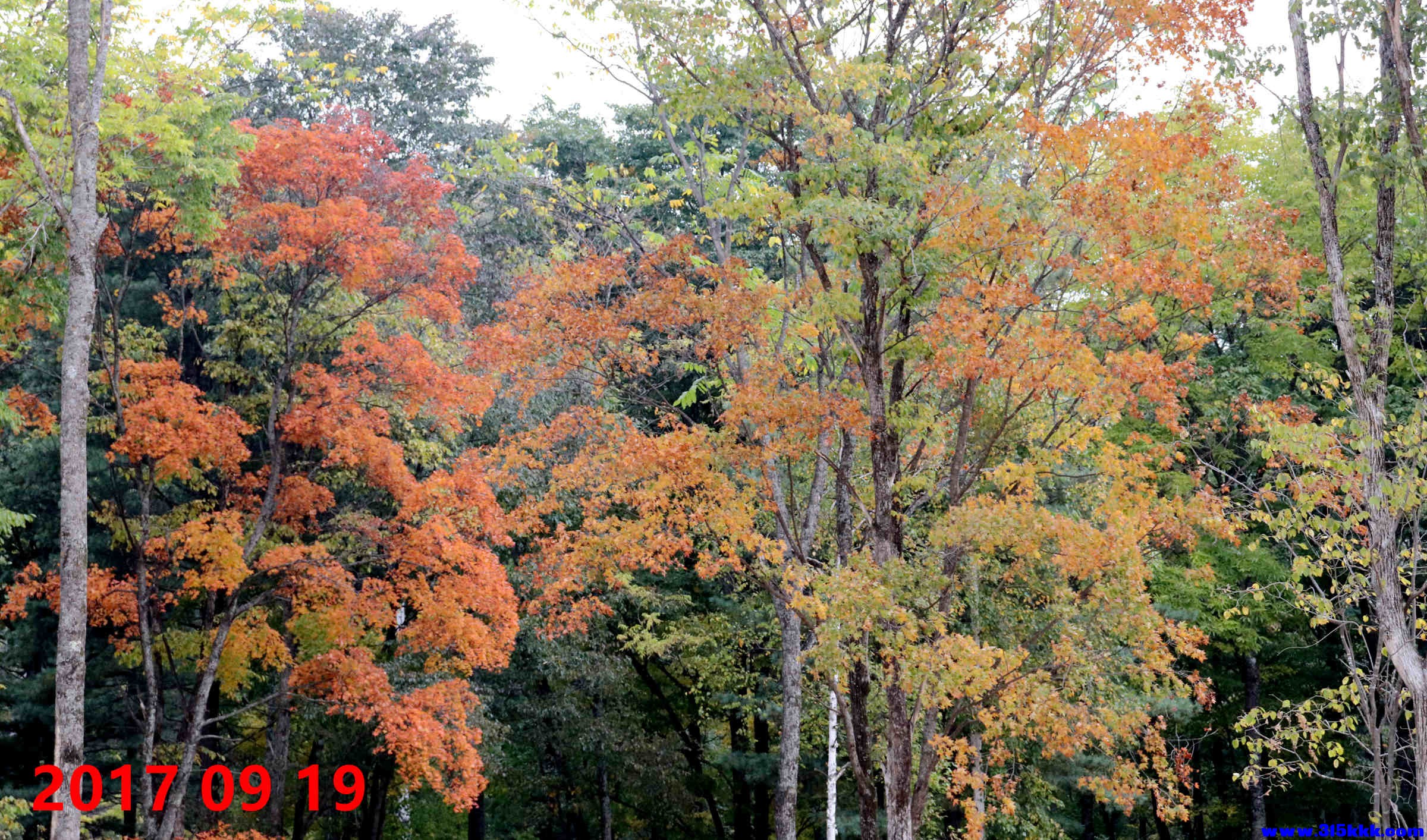 敦化寒葱岭枫叶谷（4A景区））