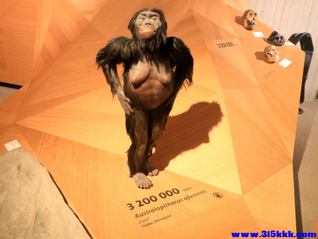 08_著名的“露西”復原模型_光影_1.jpg